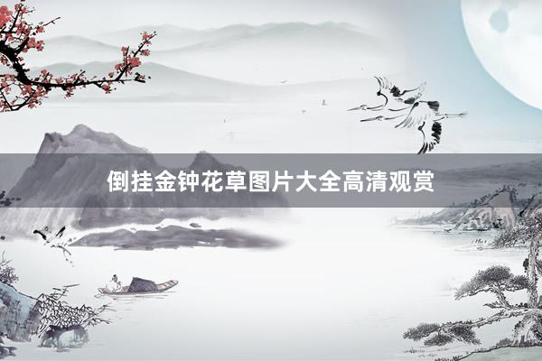 倒挂金钟花草图片大全高清观赏