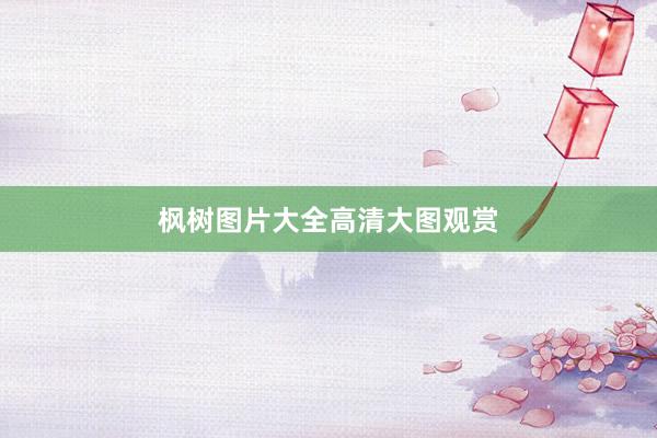 枫树图片大全高清大图观赏